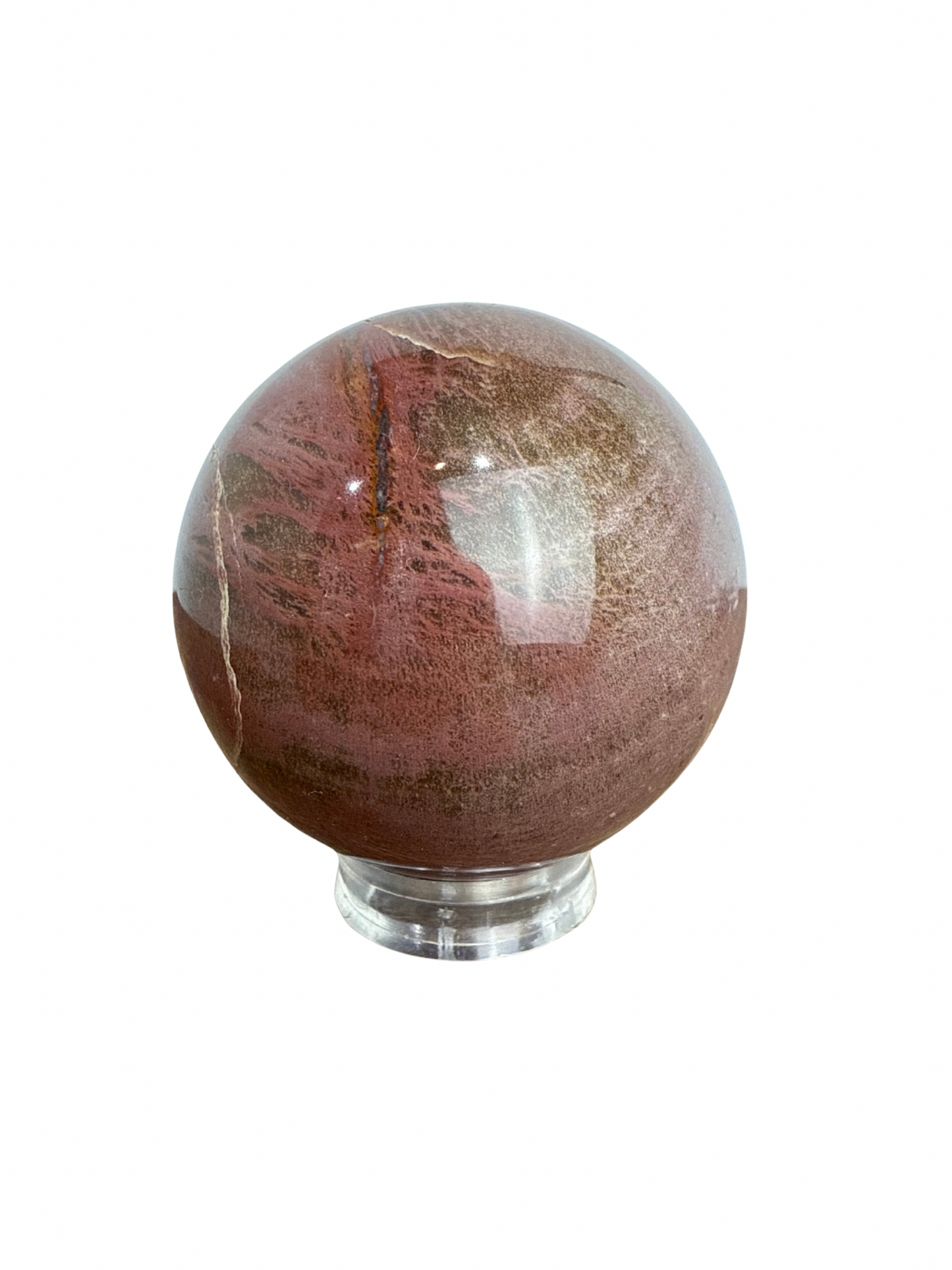 Versteend Hout bol 2