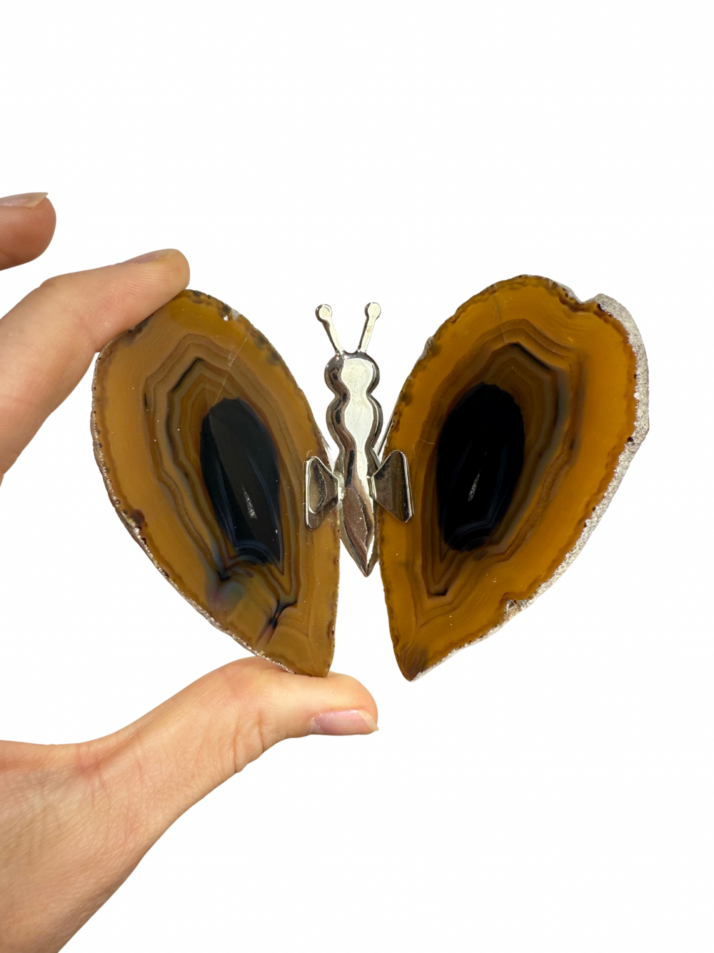 Agate butterfly 5