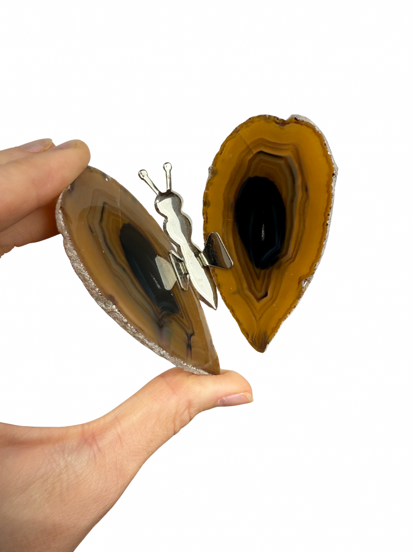 Agate butterfly 5