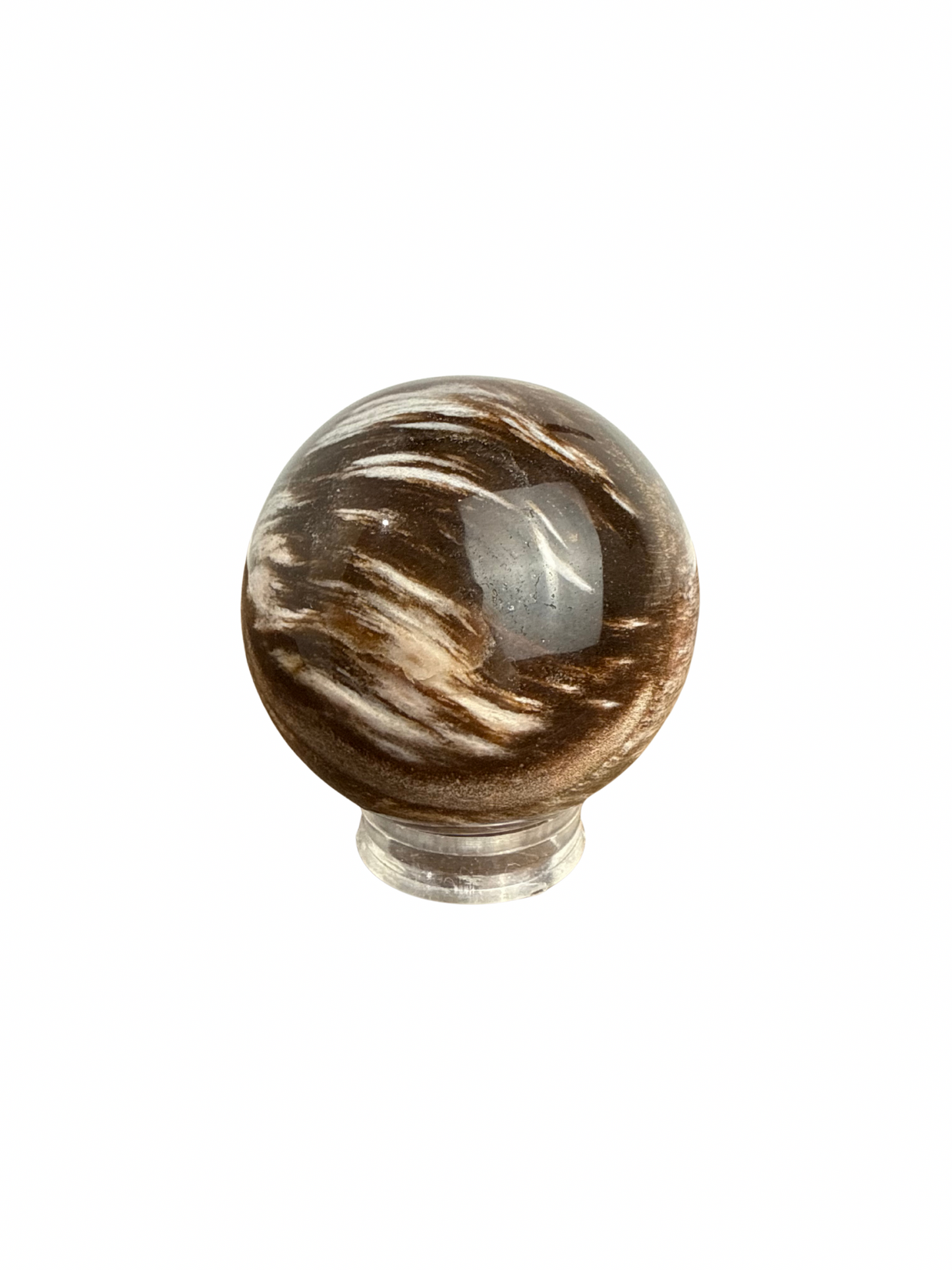 Versteend Hout bol 1