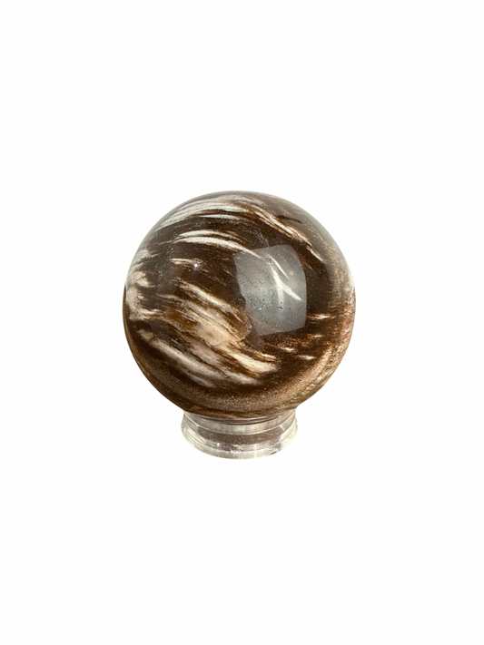 Versteend Hout bol 1