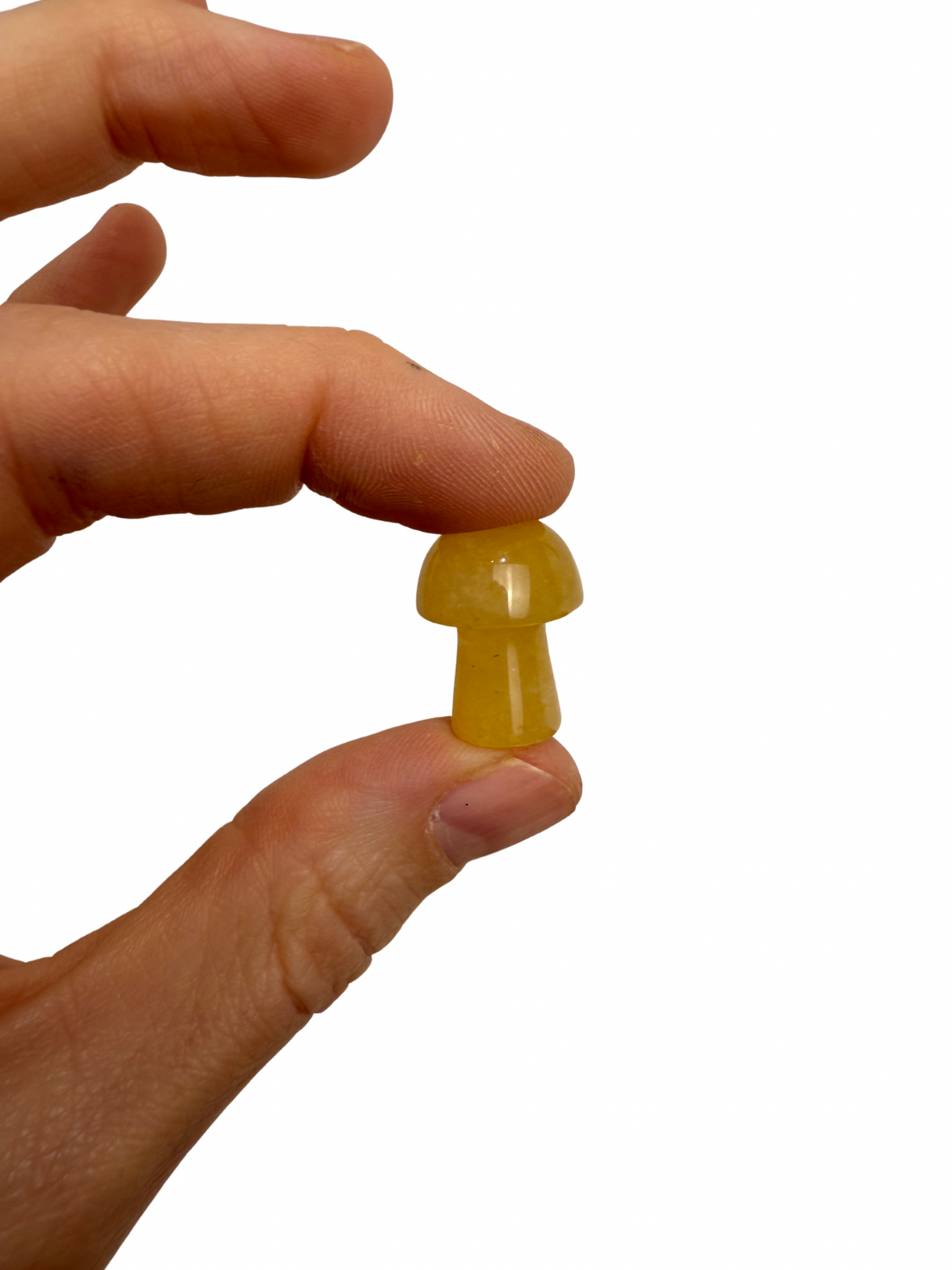 Oranje Calciet mini paddenstoel