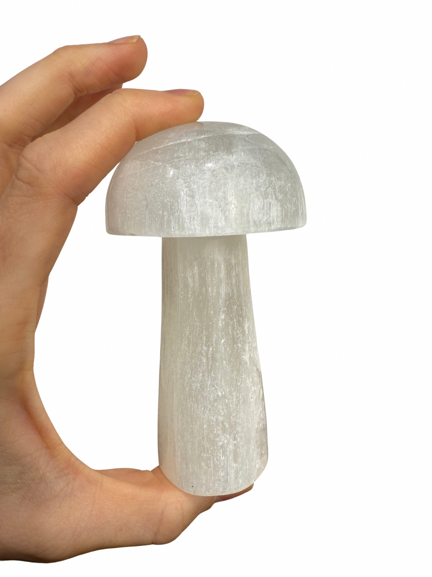 Seleniet paddenstoel 10 cm