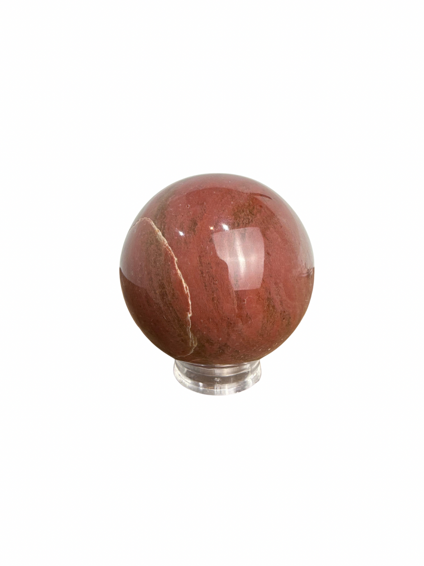 Versteend Hout bol 2