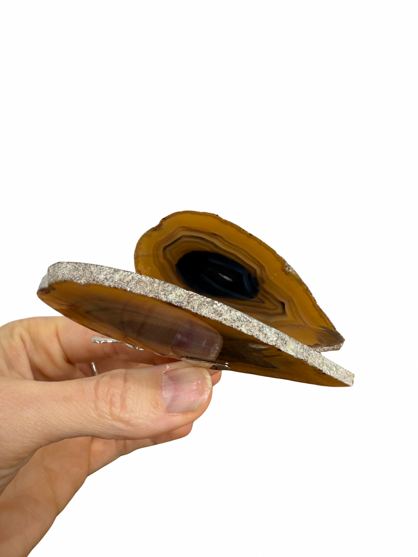 Agate butterfly 5
