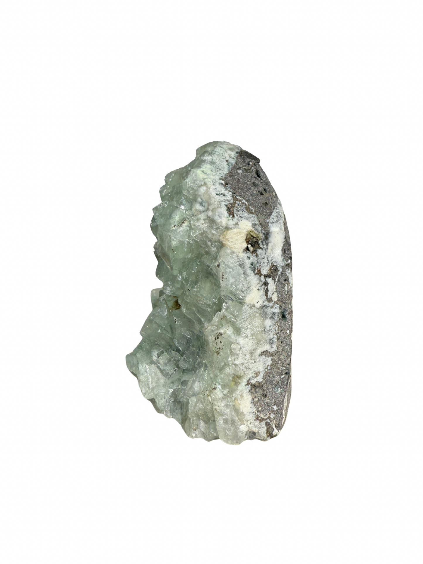 Apofyliet cluster op standvlak