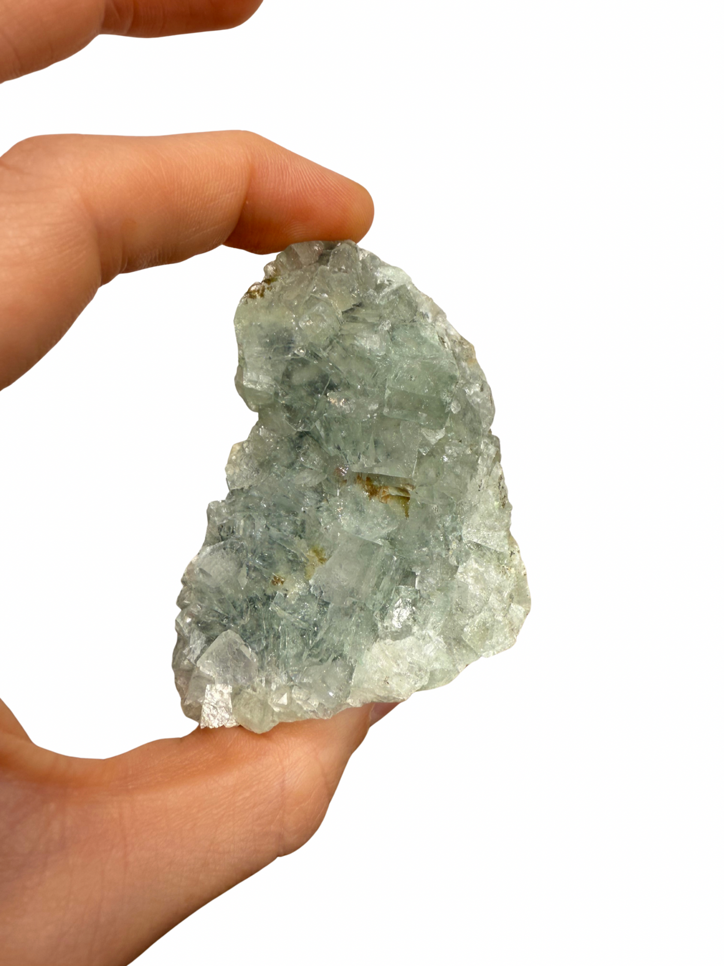 Apofyliet cluster op standvlak