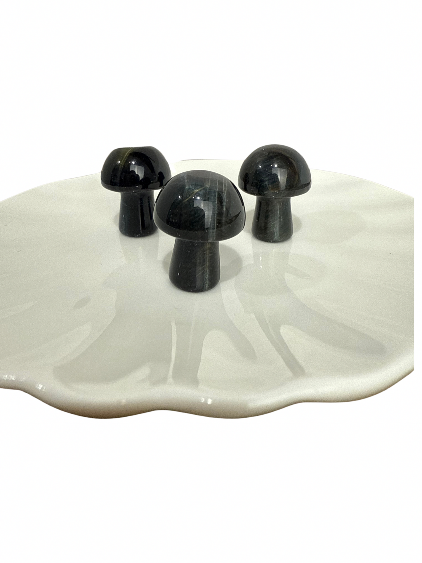 Valkenoog mini paddenstoel