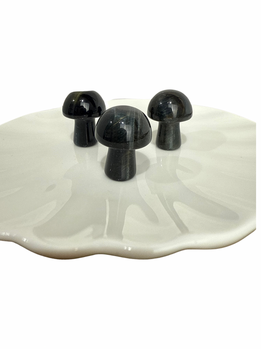 Valkenoog mini paddenstoel