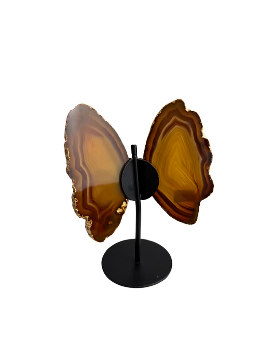 Agaat vlinder op standaard