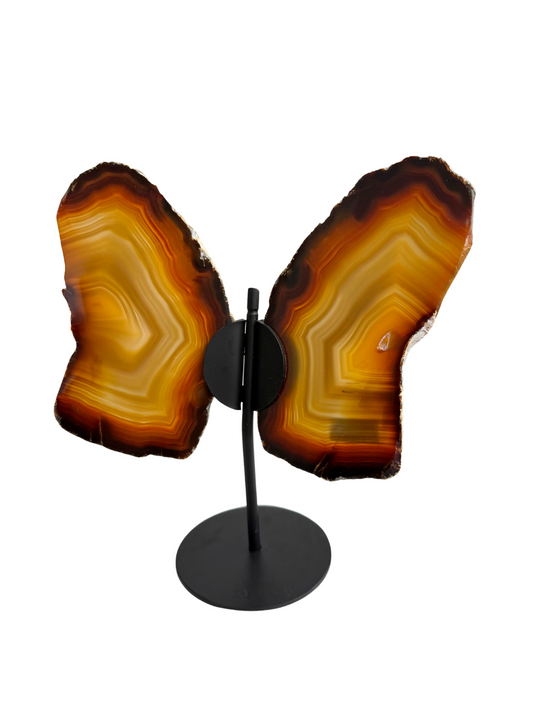 Agaat vlinder op standaard