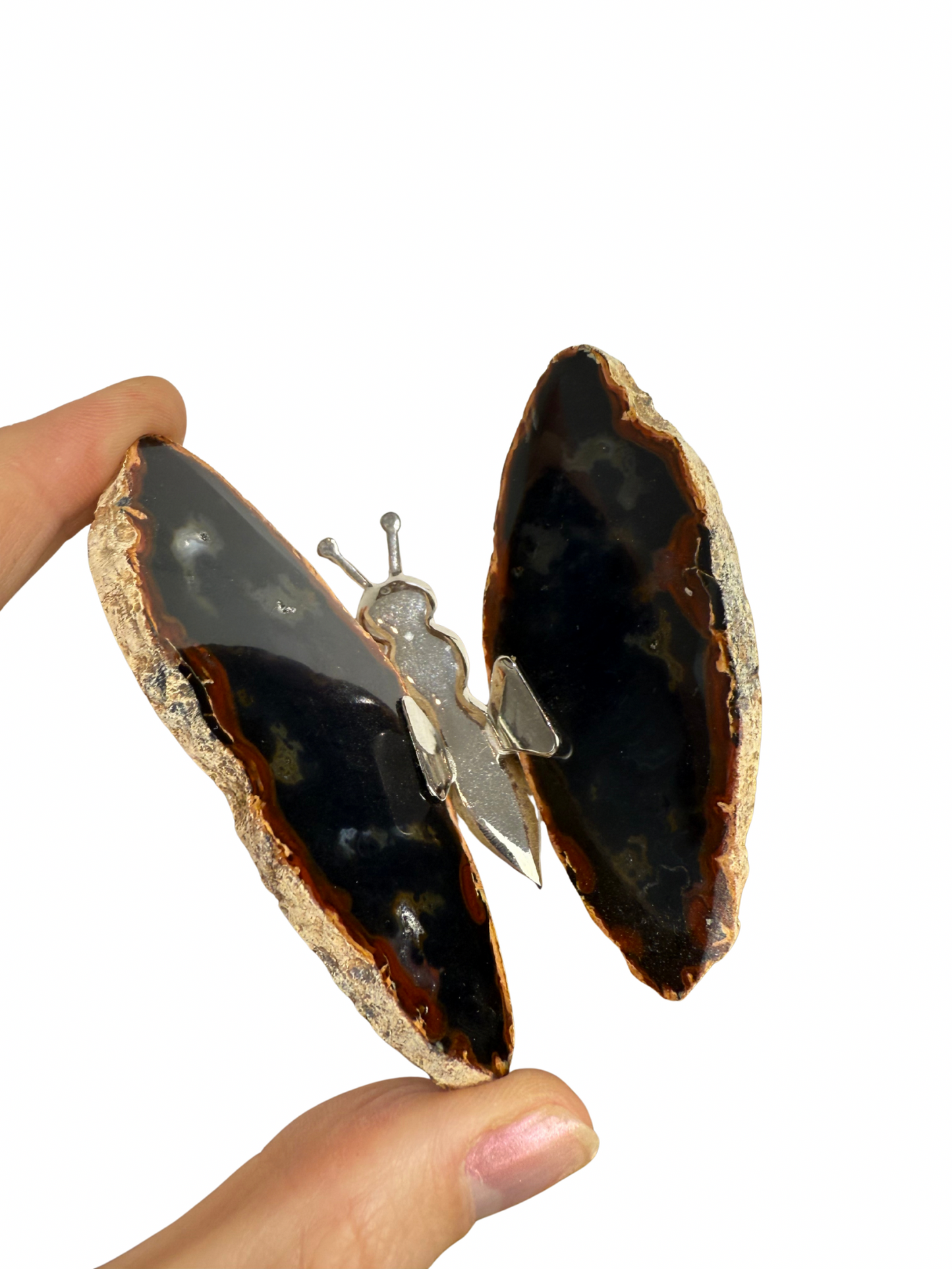 Agate butterfly 4