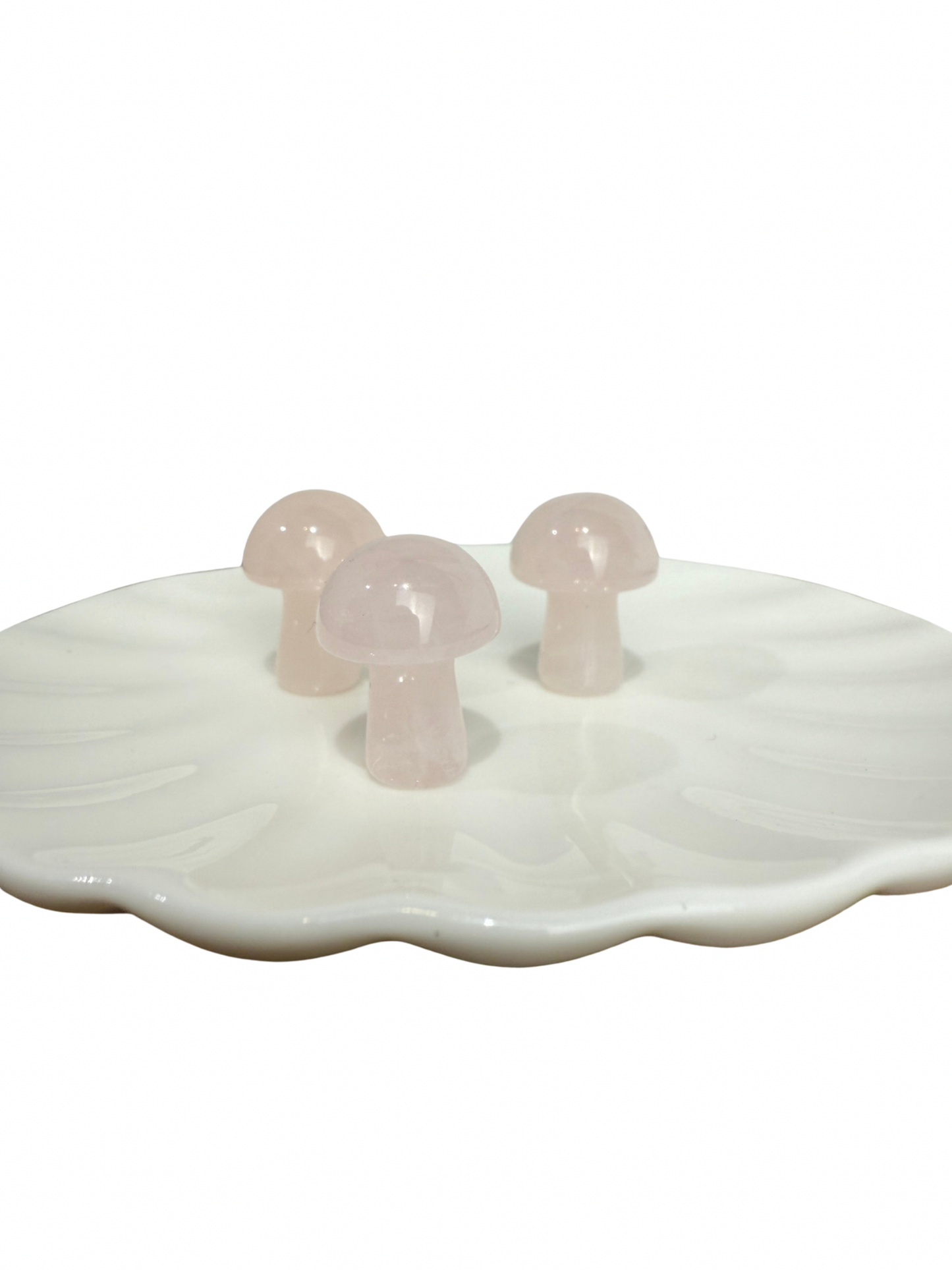 Rozenkwarts mini paddenstoel