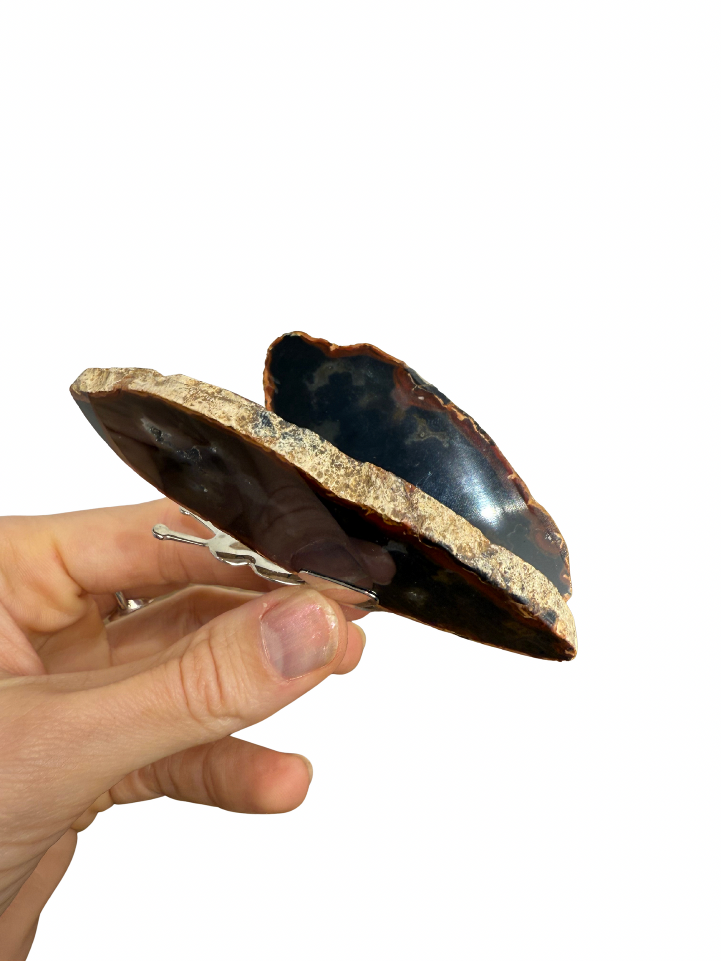 Agate butterfly 4