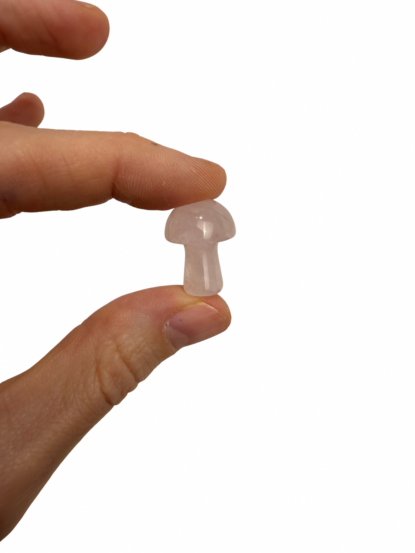 Rozenkwarts mini paddenstoel