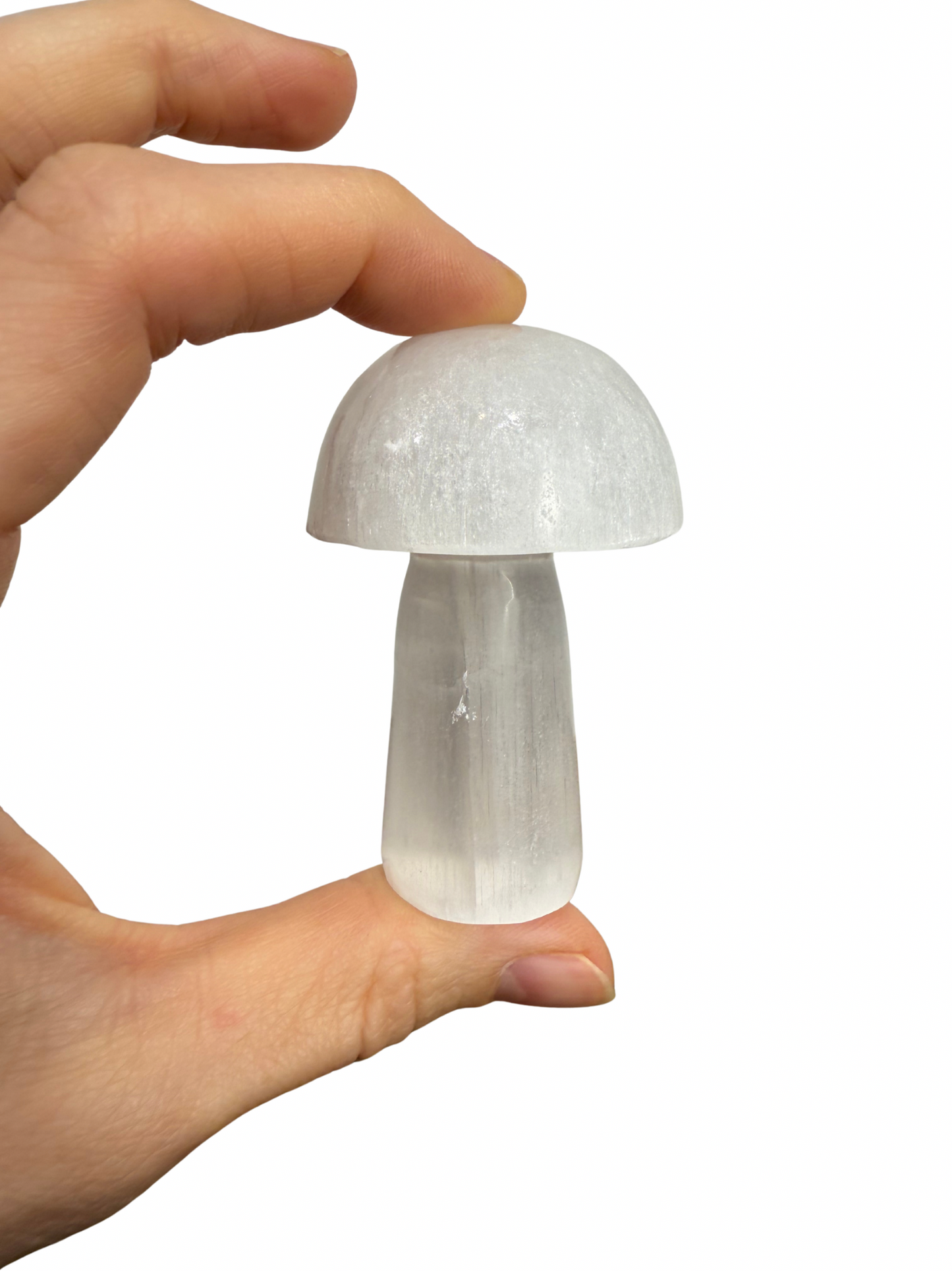 Seleniet paddenstoel 6 cm