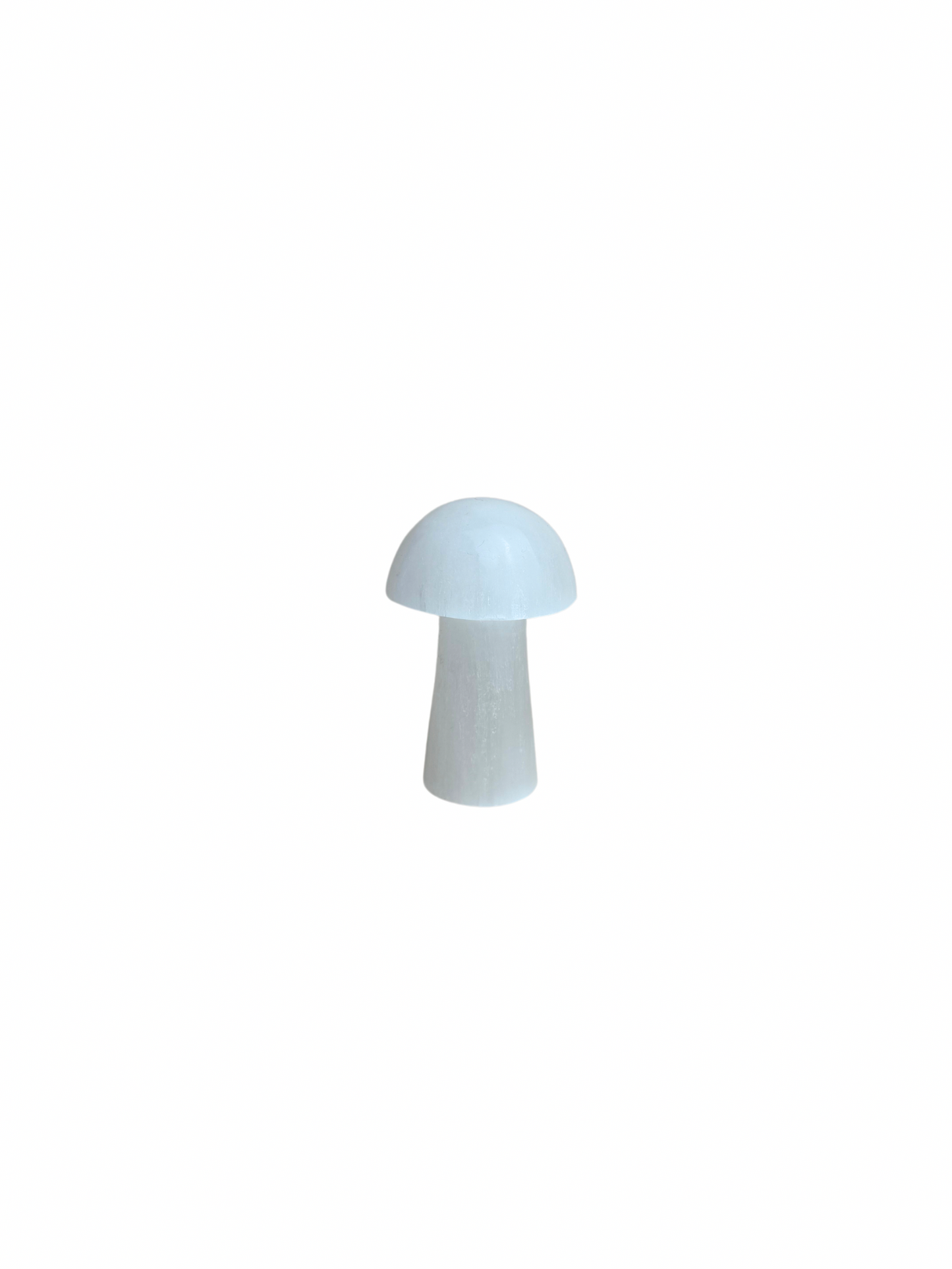 Selenite mushroom