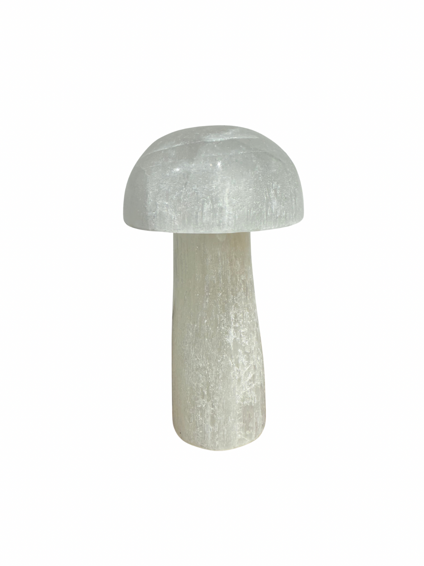 Seleniet paddenstoel 10 cm