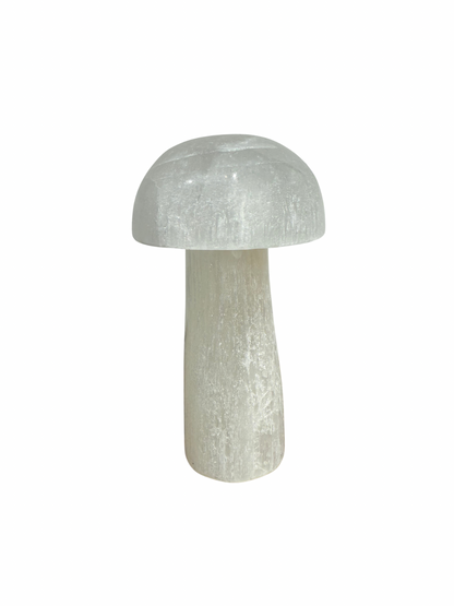 Seleniet paddenstoel 10 cm