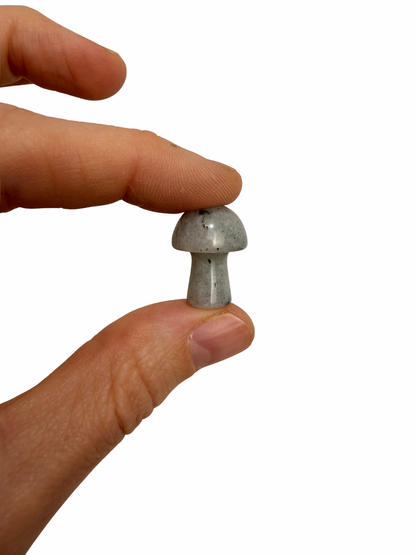 Labradoriet mini paddenstoel