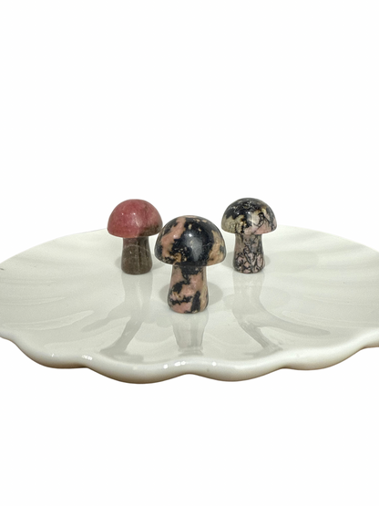 Rhodoniet mini paddenstoel