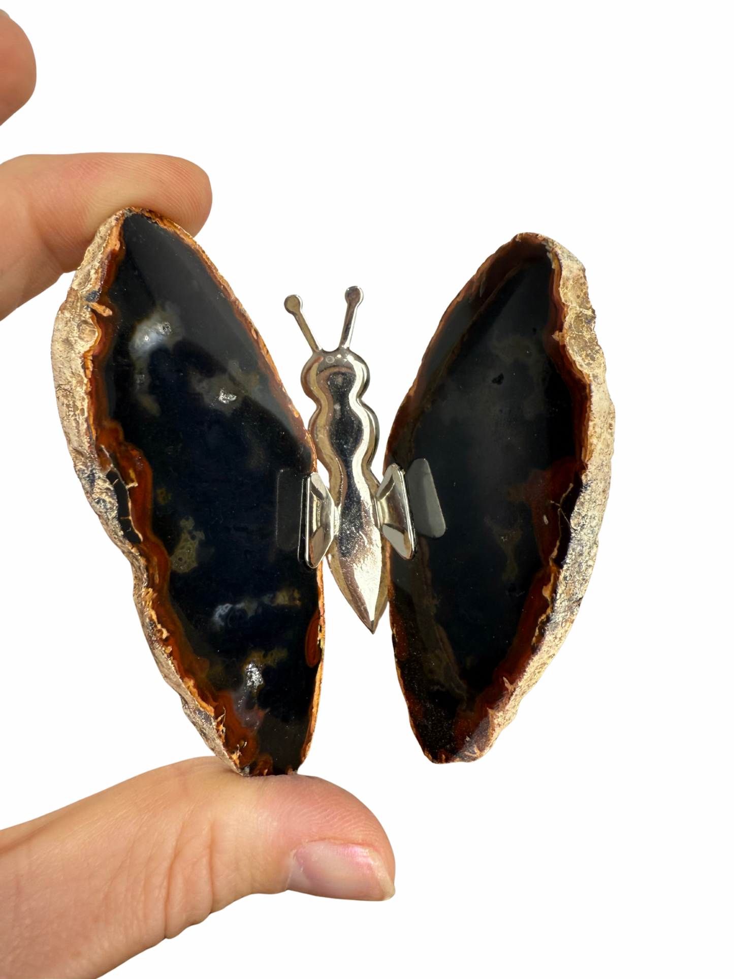 Agate butterfly 4