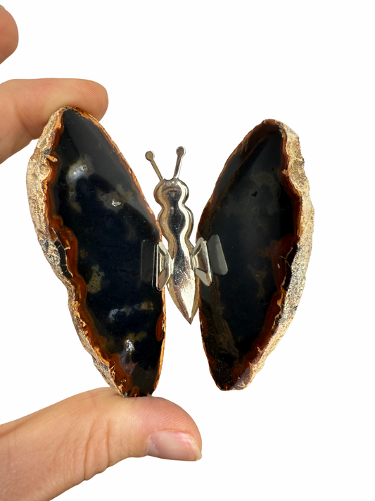 Agate butterfly 4