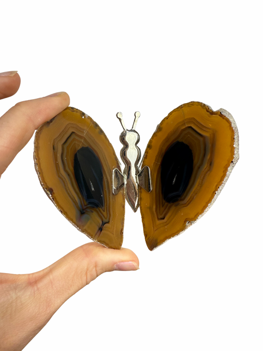 Agate butterfly 5