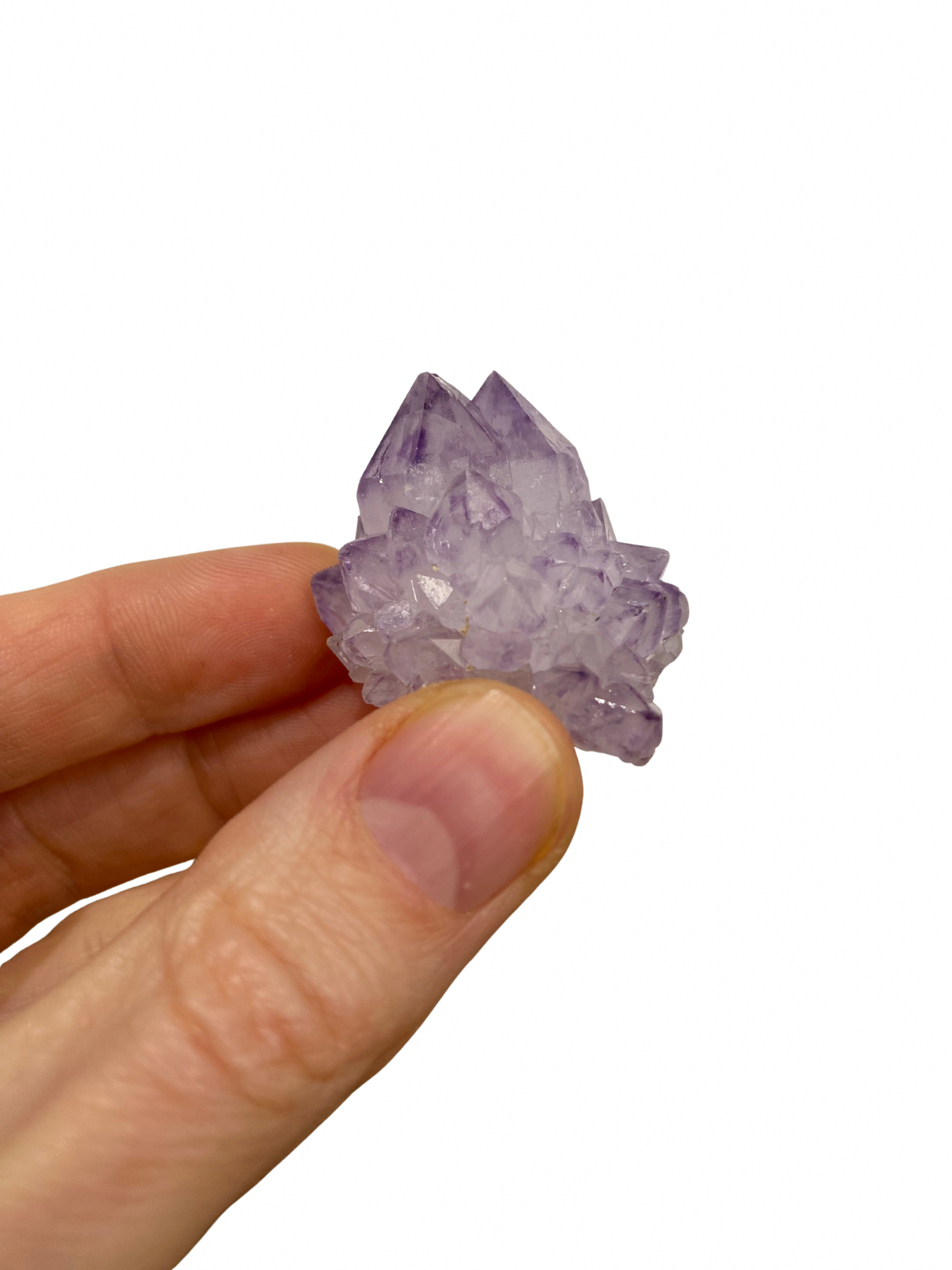 Cactus Spirit Amethist 2