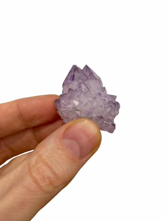 Cactus Spirit Amethist 2