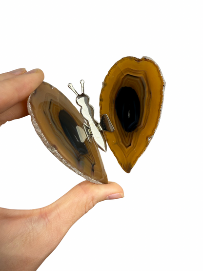 Agate butterfly 5
