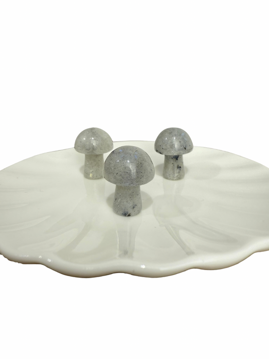 Labradoriet mini paddenstoel