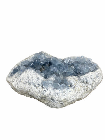 Celestien cluster XL (Madagascar) | 6 kg