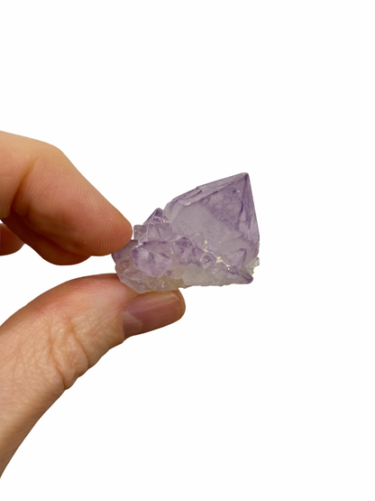 Cactus Spirit Amethist 1