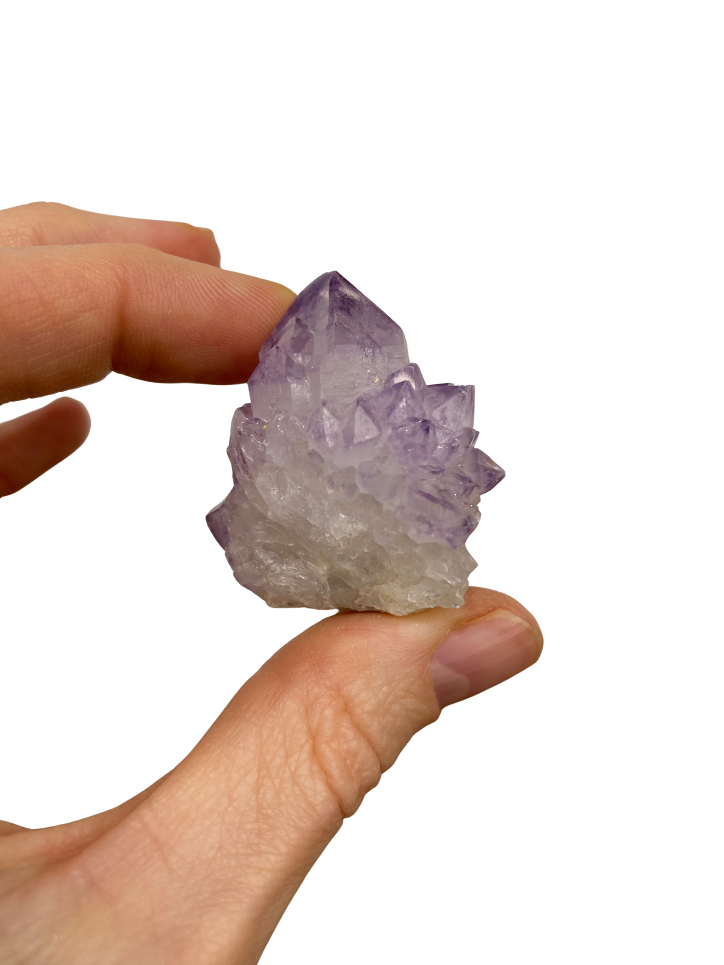 Cactus Spirit Amethist