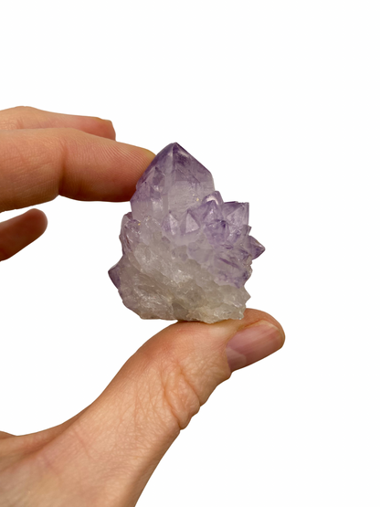 Cactus Spirit Amethist