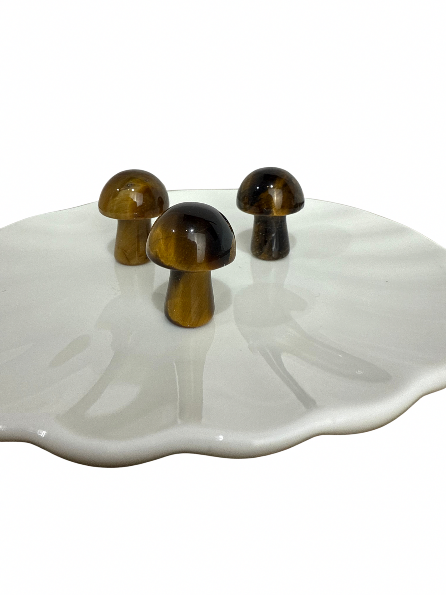 Tijgeroog mini paddenstoel