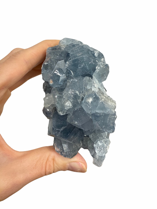 Celestien cluster 3