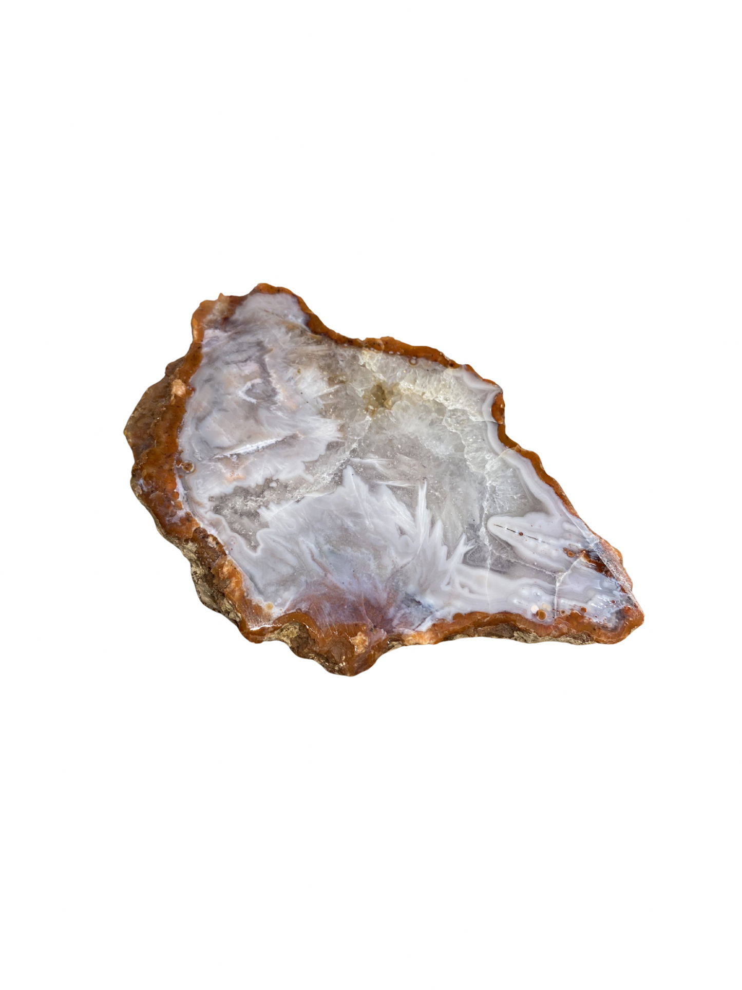 Agate slice