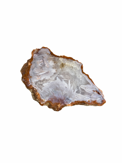 Agate slice