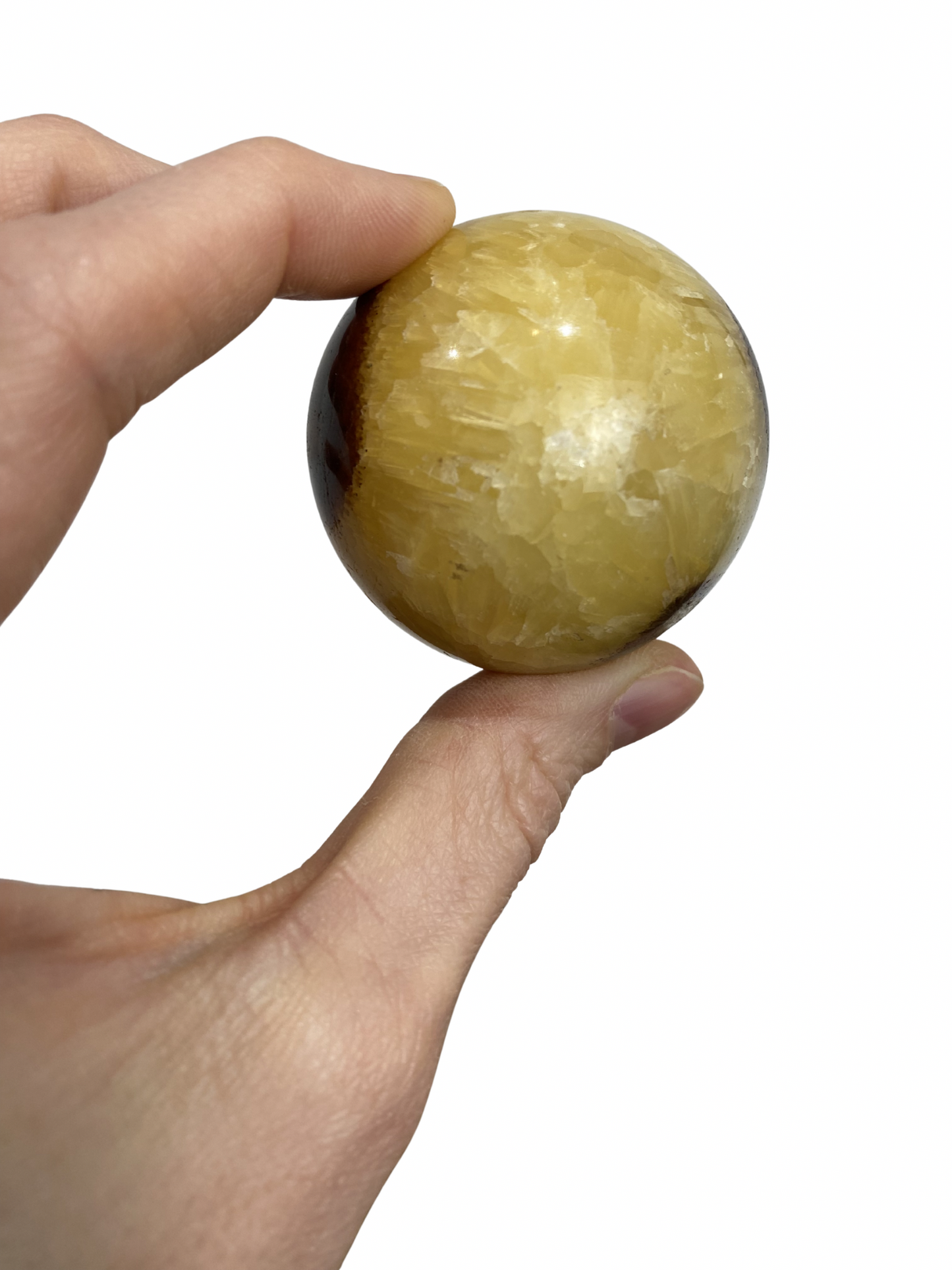 Septarie bol