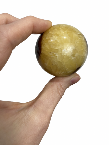 Septarie bol