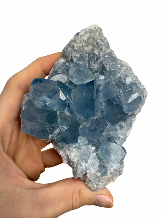 Celestien cluster 6