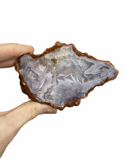 Agate slice