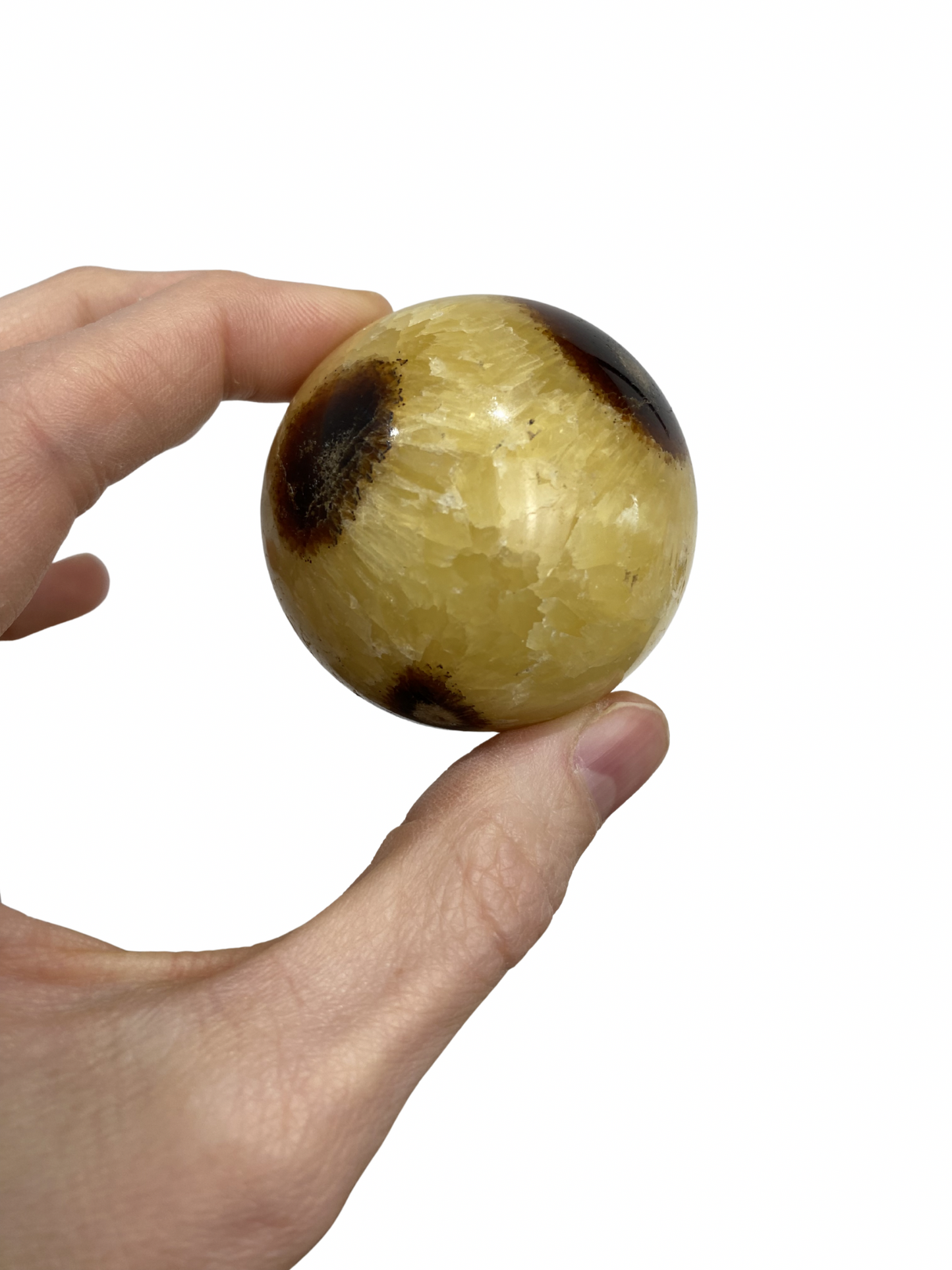 Septarie bol
