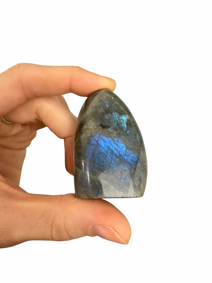 Labradoriet sculptuur 10