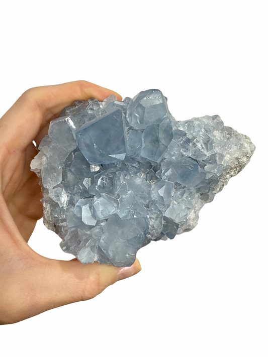 Celestien cluster 1