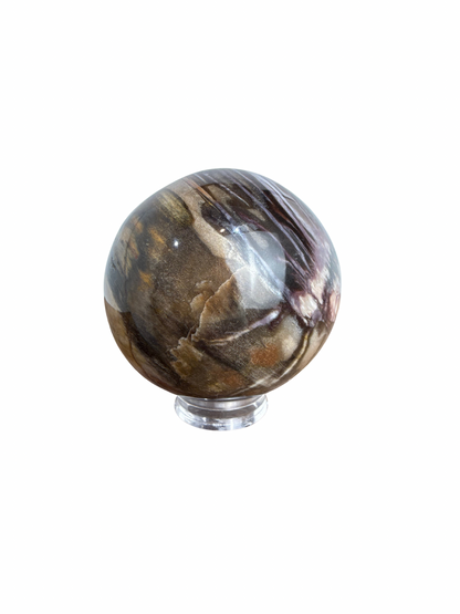 Versteend Hout bol 3