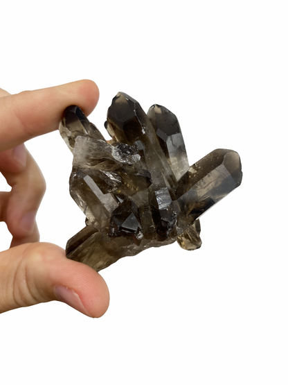 Rookkwarts cluster (Brazilië)