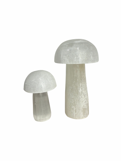 Seleniet paddenstoel 6 cm